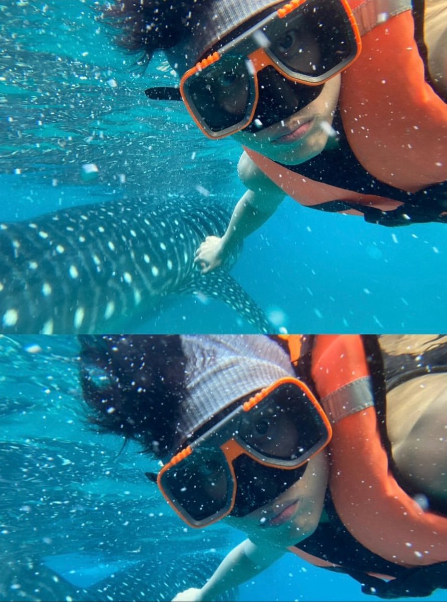 moz ⁴⁴ tweet media