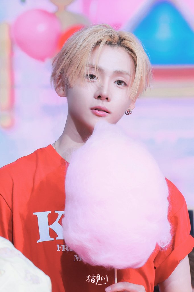 遊歩、 tweet media