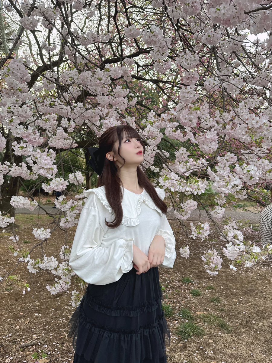 美玲ちゃんお元気ですか 僕はギリお元気です😑 また会えるのを永遠に