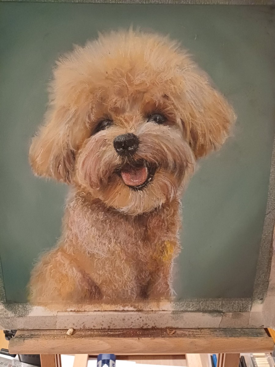 Tampuipui's tweet photo. #dog  #pastel https://t.co/eIH0PXyN35