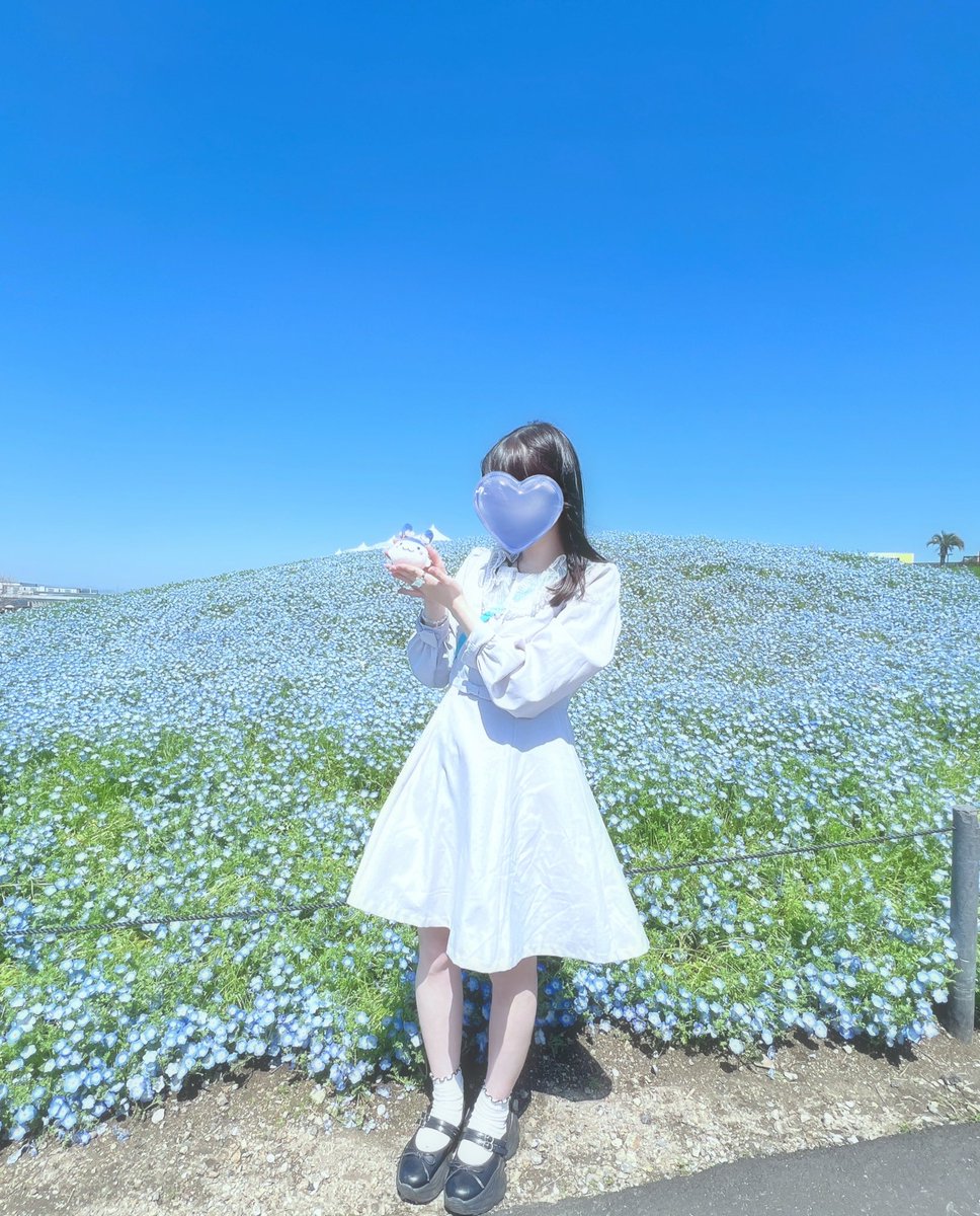 めぐめぐ tweet media