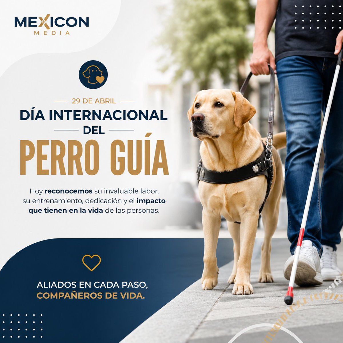 Ricardo Rius tweet media
