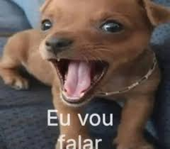 momô tweet media
