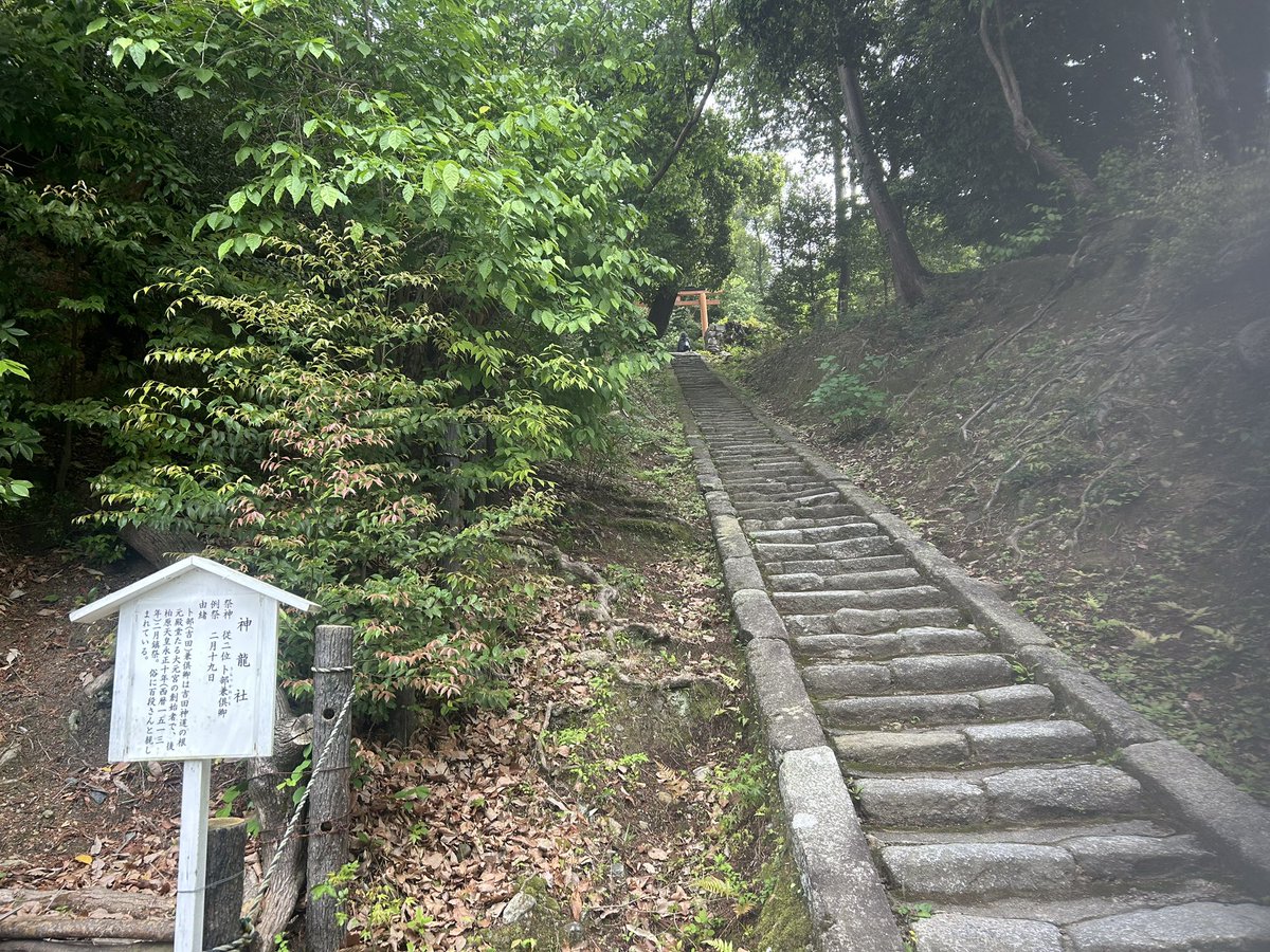 紙芝居屋の加瀬ひろし tweet media