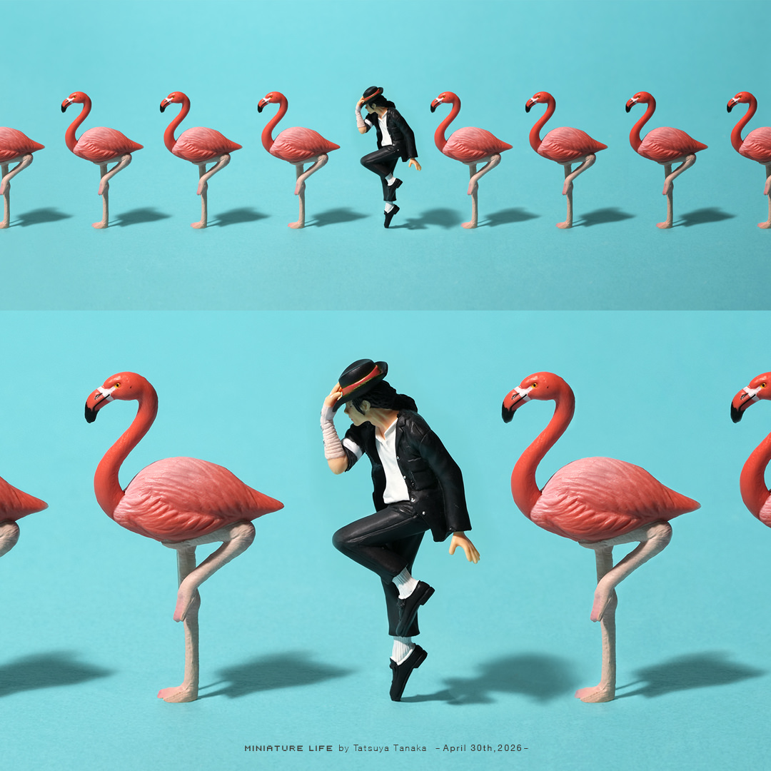 Tatsuya Tanaka 田中達也 tweet media