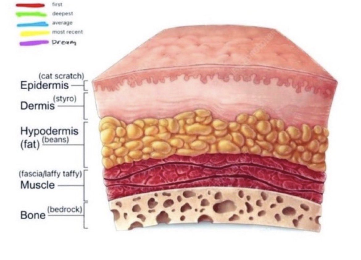 ҽოմ օբ sʜᴇᴅᴛᴡᴛ!!♡ tweet media