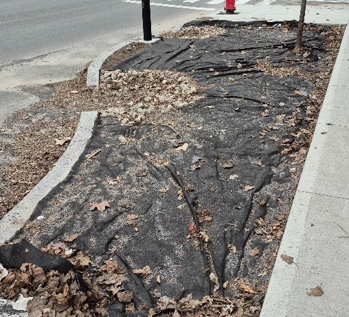 Rue Molson tweet media