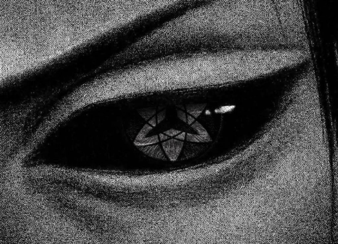 nocturnal tweet media