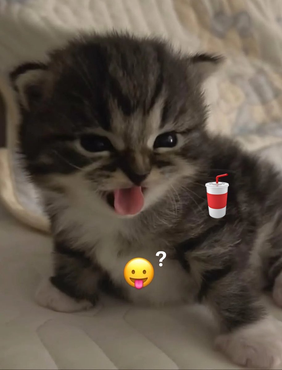 kimlee🥤 tweet media