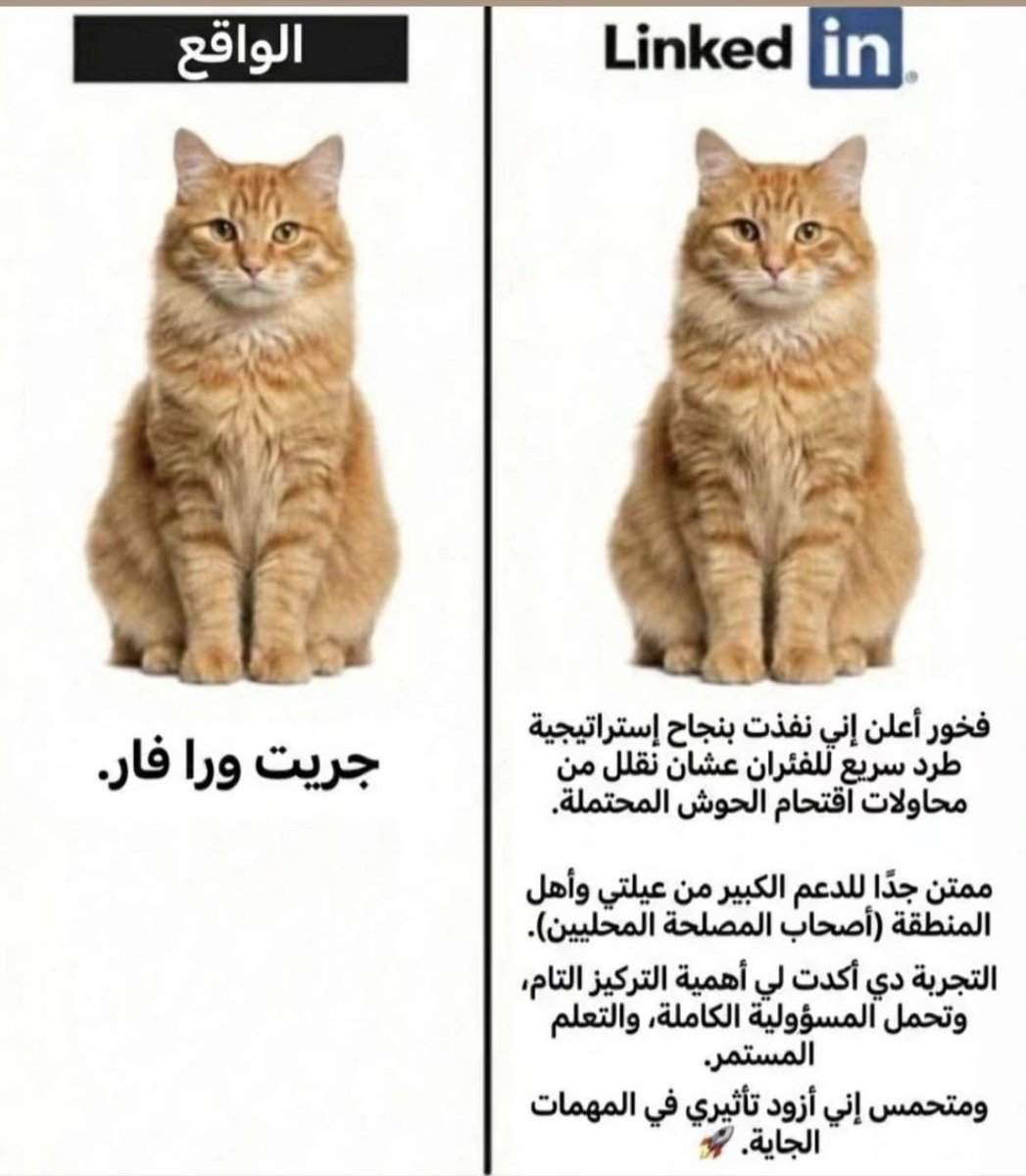 فهد الكستبان tweet media