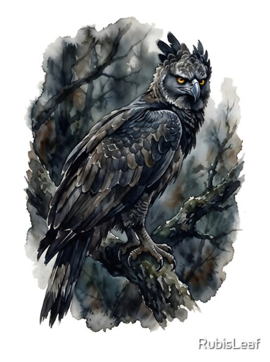 modekai_shop's tweet photo. #harpyeagle #harpiaharpyja #birdofprey #raptor #eagle #rainforest #darkforest #wildlifeart #avian #harpy #bird #animal #gothic #goth #dark
https://t.co/J1uh1xwUQW https://t.co/RpOD4VRBJw