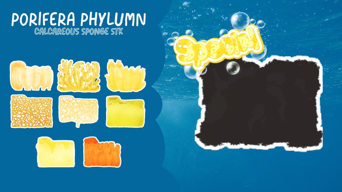 ninigosan2253's tweet image. 🧽 STK Poriferra Phylumn🧽
📷ขนาดสติกเกอร์(ประมาณ) : 4.5cm 
📷ลายทั้งหมด : ลายปกติ 8 ลาย และ secret 1 ลาย 
📷ขายแบบ : ซองสุ่ม และ แบบเดี่ยว(เลือกลายได้แต่จะแพงกว่า) 
📷1 สุ่ม มีทั้งหมด 5 ใบ
(ลิงค์อยู่ในด้านล่างคับผม)
#sticker #preorder #animalia #porifera
