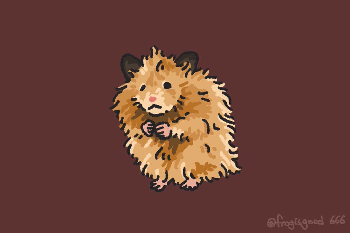 올챙이가된개구리 tweet media