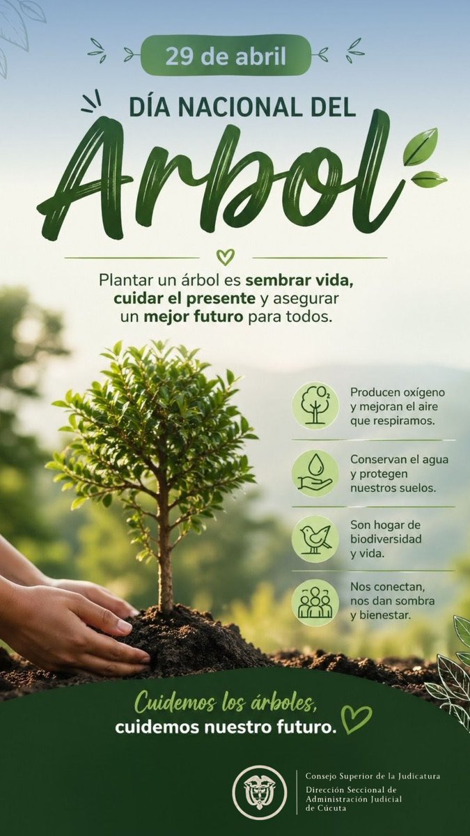 DSAJ Norte de Santander y Arauca tweet media