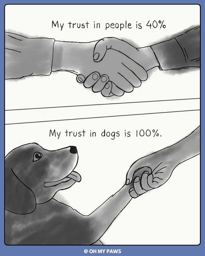 Puppies 🐶 tweet media