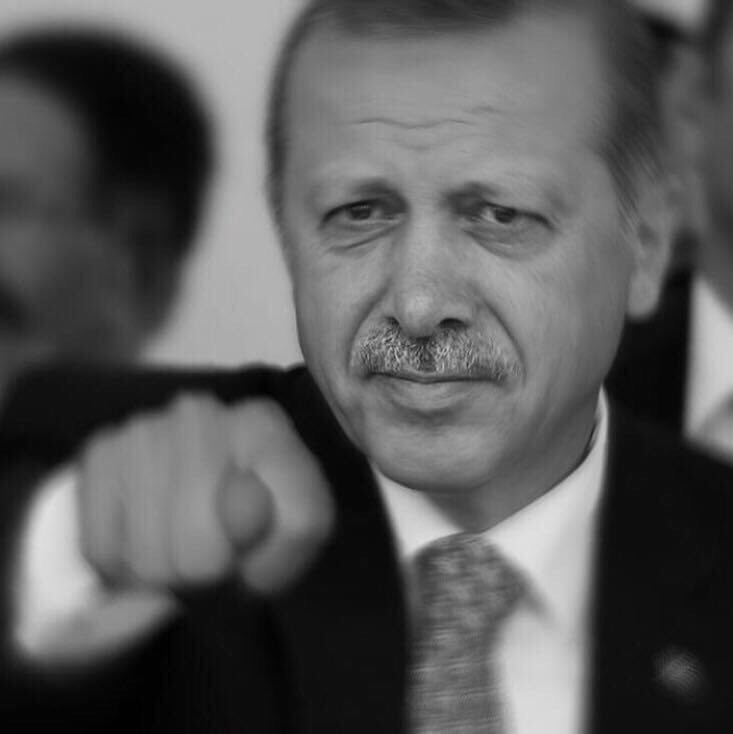 saltuk buğra🏳 tweet media
