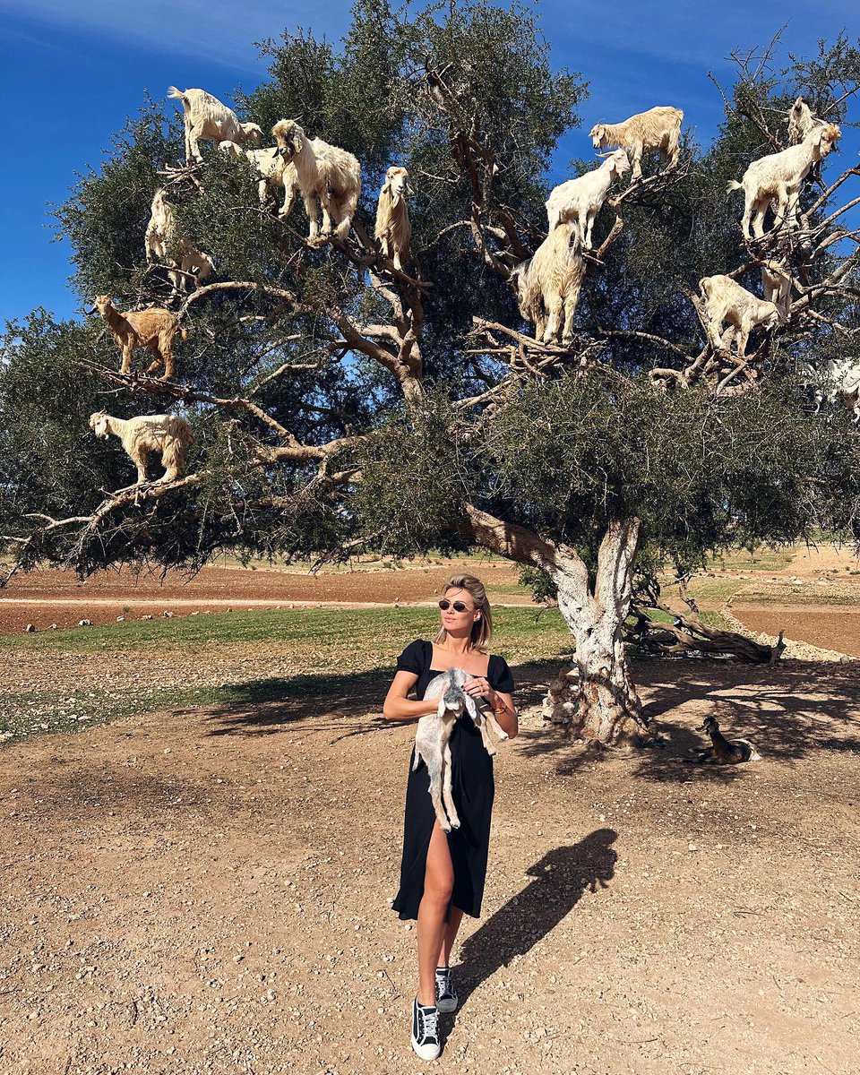 channellleee's tweet image. So cute!😆#travel #animal