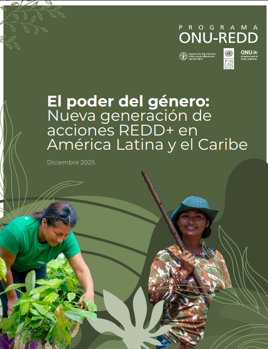 PNUDEcuador's tweet photo. 🇪🇨 Ecuador avanza en igualdad de género y acción REDD+💜

El estudio de UN-REDD y PNUD destaca:
🙋‍♀️mayor participación de mujeres
💰acceso a financiamiento sostenible
🌳producción libre de deforestación
✅liderazgo rural e indígena

Accede aquíℹ️ https://t.co/XK8bYkzHW8 https://t.co/YepWhxRyRR