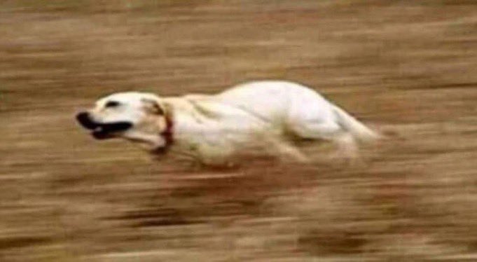 MBALE'S PRIDE tweet media