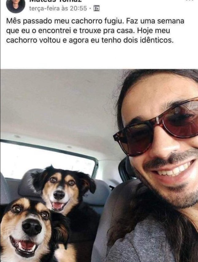 meme burros (ou nada inteligente) (@burraookk) on Twitter photo 