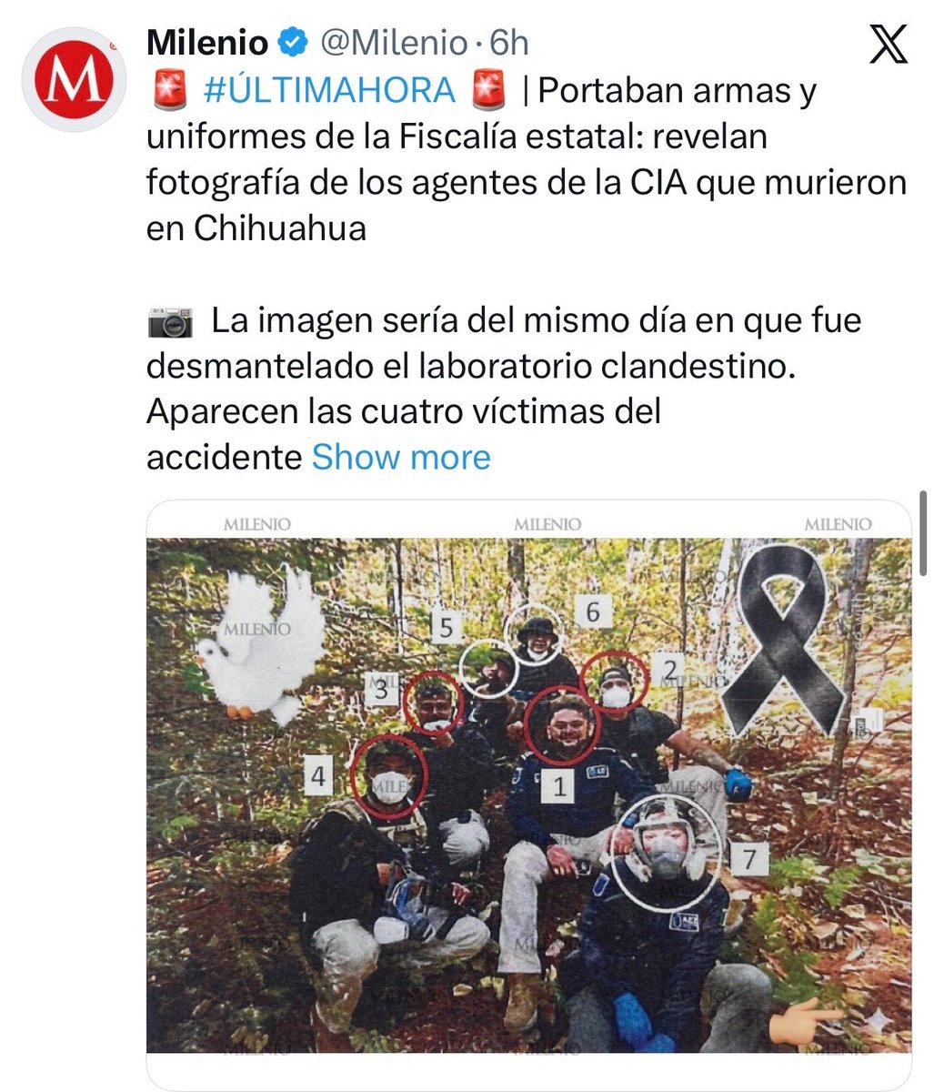 Alejandra Escobar tweet media