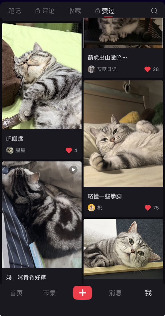 猫咪中毒。有时候真想跪下来求自己别吸了