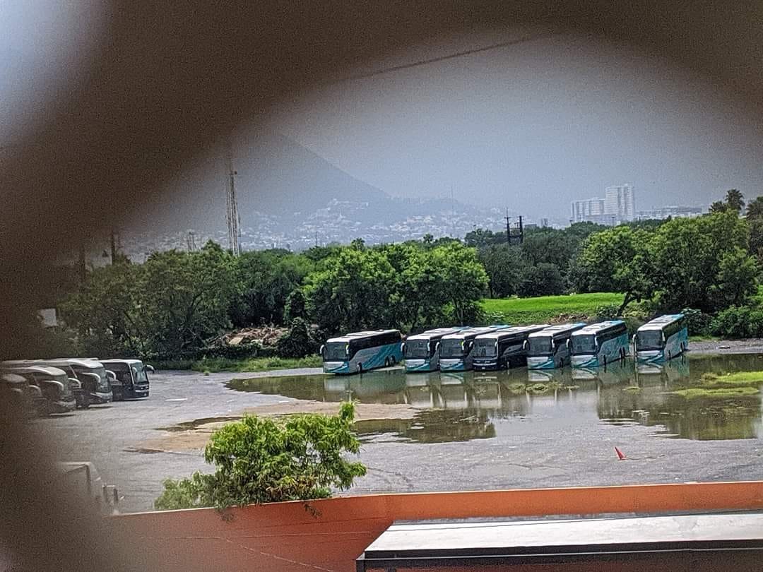 Rincón Curioso tweet media