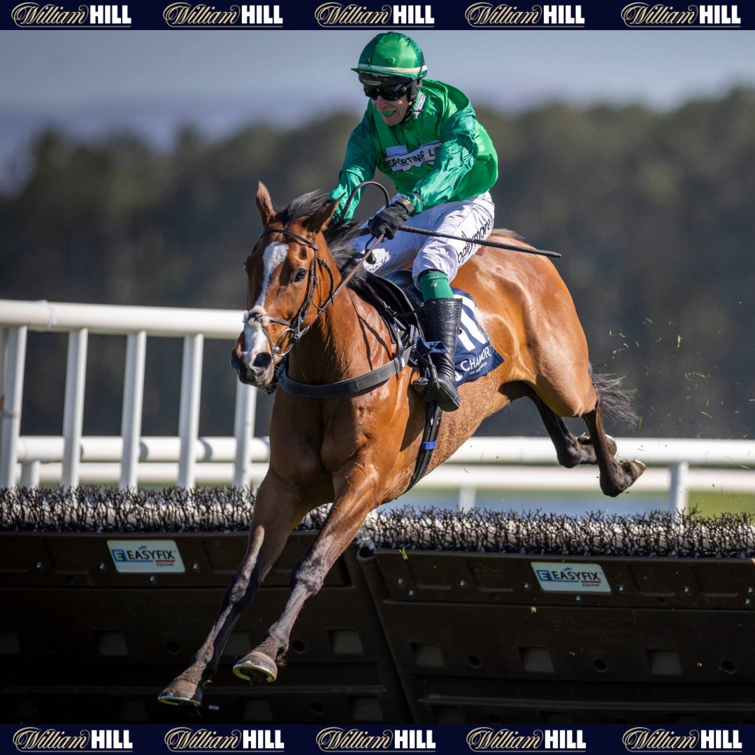 William Hill Racing tweet media