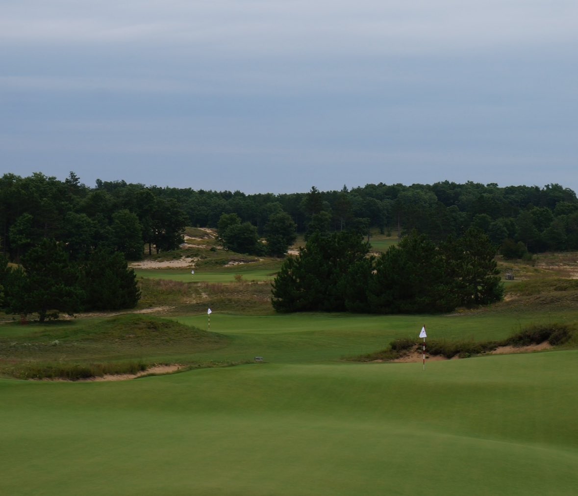 SethRaynor_'s tweet image. Need to play some #golf