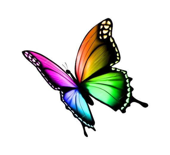 drypdesigns's tweet image. 💧Vibrant Rainbow Butterfly PNG - Digital Download File - Transparent PNG by drypdesigns💧ift.tt/iXY31dq #drypdesigns #digitaldownload #digitalart #graphicdesign #PNG
