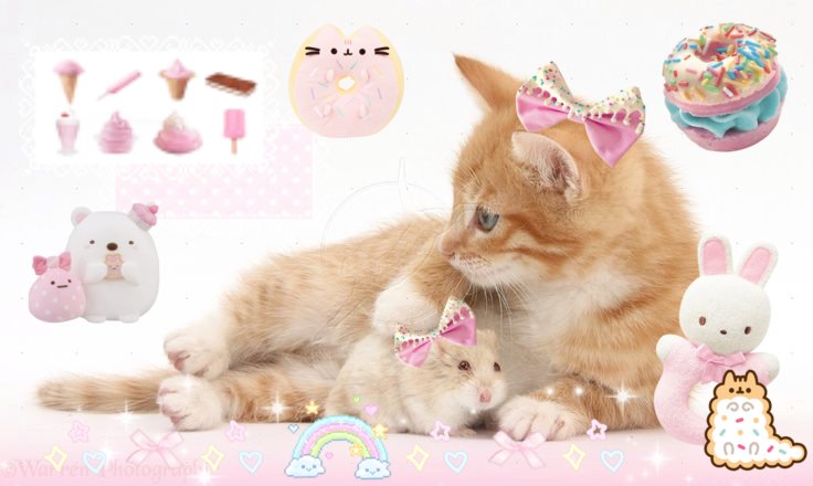 candyGirl 🍭🍭🧁🍩🩷🎀 tweet media