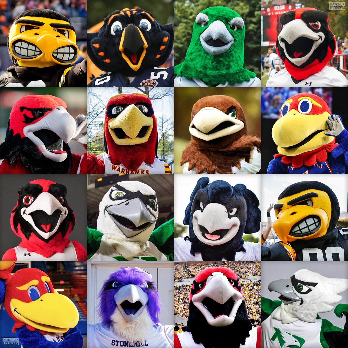 CFB Tracker tweet media