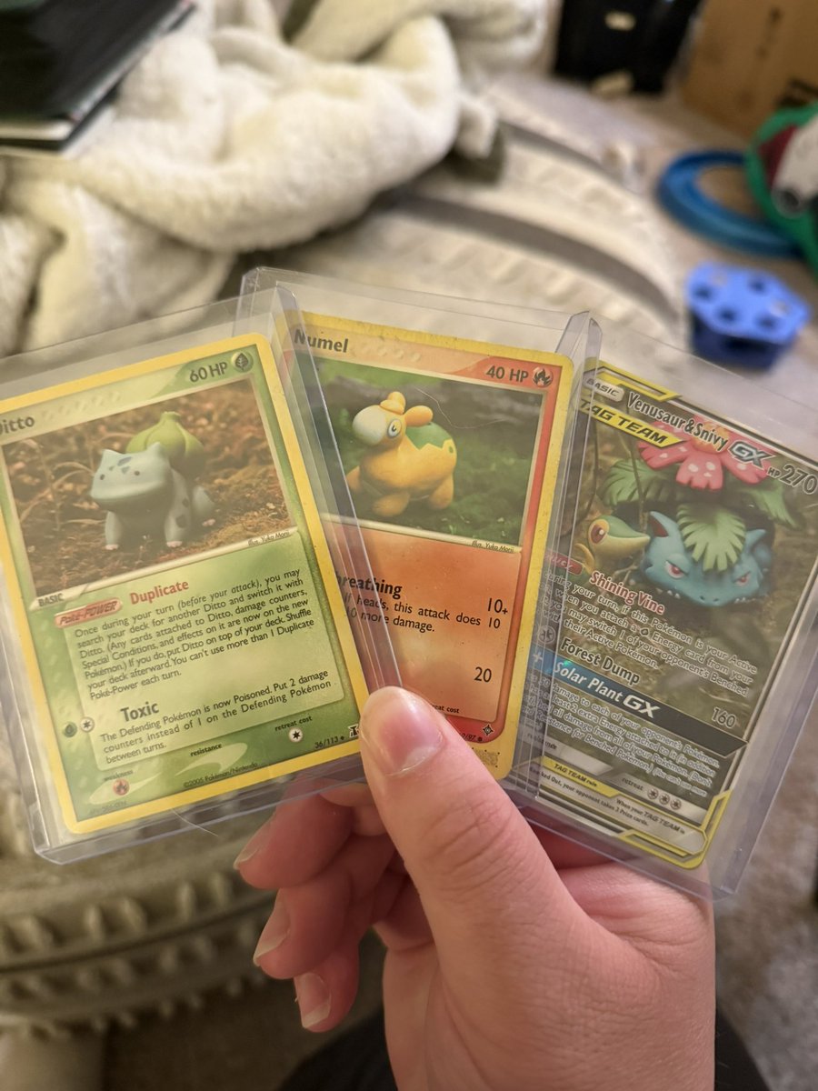 CaughtByAndo's tweet photo. @RiceRiddler I keep these in my single binder. https://t.co/VWpobrbaaU