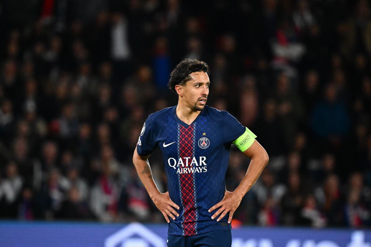 PSG COMMUNITY tweet media