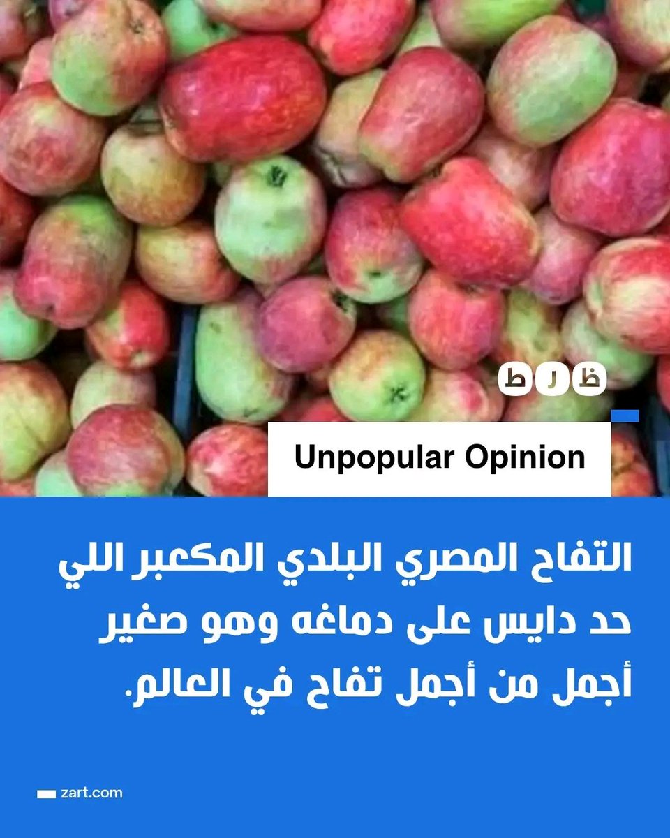 شبكة ظرط tweet media