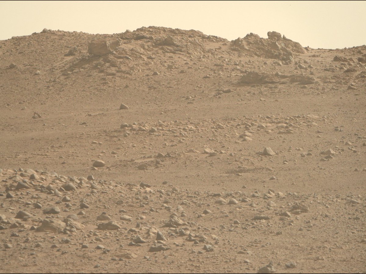 Curiosity tweet media