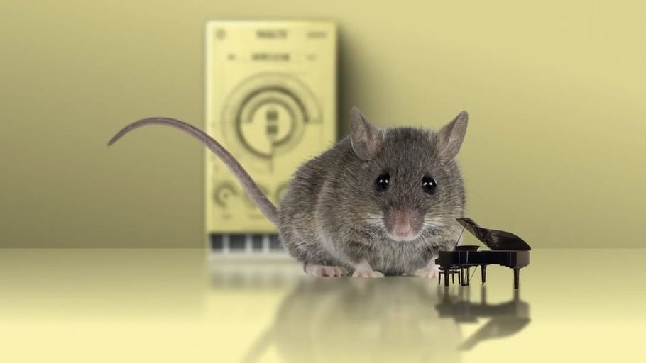 PluginDealsFeed's tweet image. The Crow Hill Company has released the Absurdly Quiet Piano virtual instrument plugin for Win &amp;amp; Mac from the Vault series. Available until October 15th.

🔗 thecrowhillcompany.com/absurdly-quiet…

 #Freebie