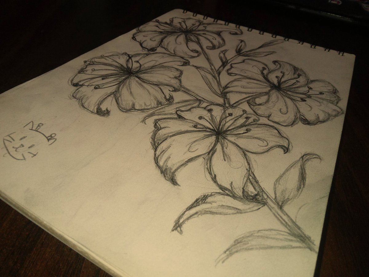 essa 🇵🇸 tweet media