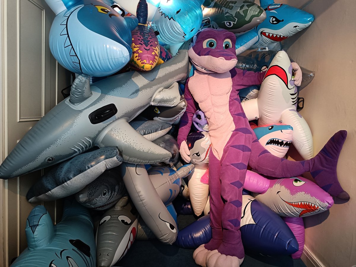 SM the Shark tweet media