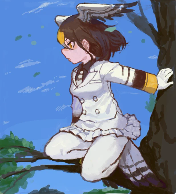 オオタカさん