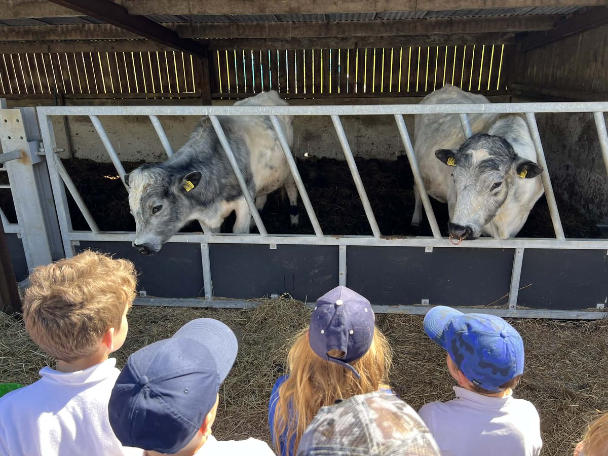 GoodlyDale's tweet photo. Class 3 had a brilliant day at Common Farm exploring the connections between food and farming with wildlife and nature ☀️🌳🐄🐑☀️ https://t.co/JVQ4Vt3kUu