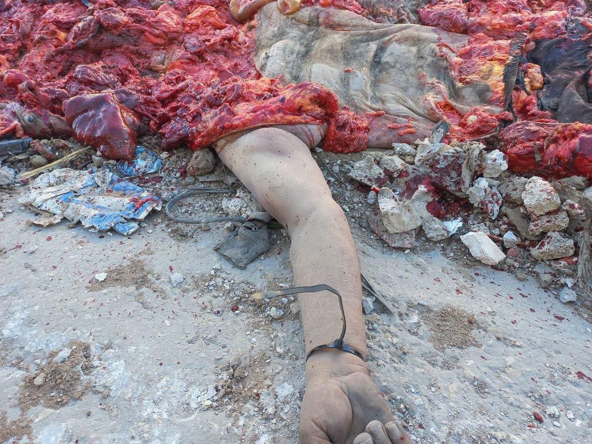 Mahmoud Massri | مَحْمُود 🇵🇸 tweet media