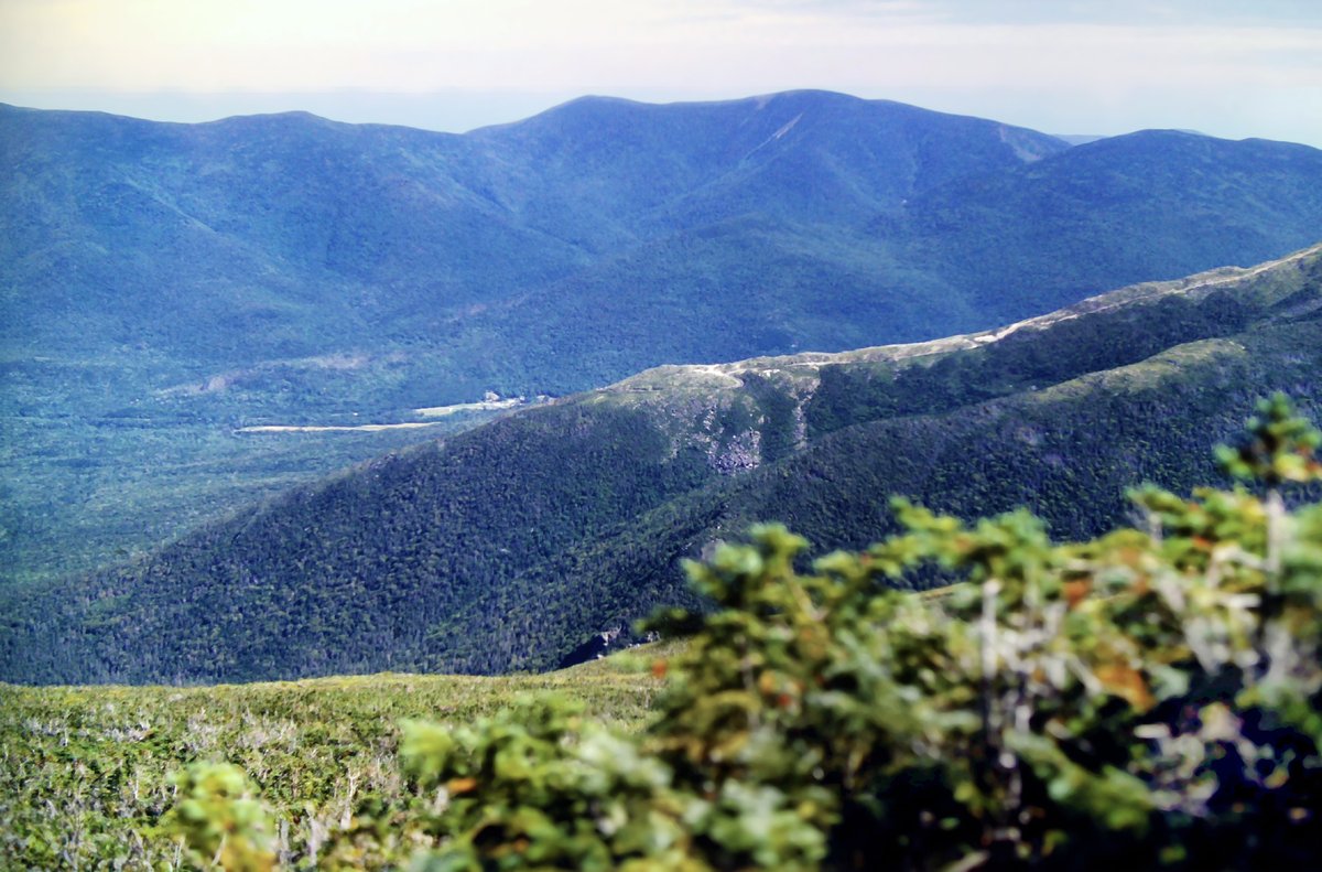 GSteffanos's tweet image. Pictured: Carter and Wildcat viewed from Mount Madison over Mount Washington's Chandler Ridge on September 9.

September 11, 1983: A long climb up Mount Moriah passed over a bunch of open ledges.

#backpacking #hiking #NewHampshire #mountains #AppalachianTrail