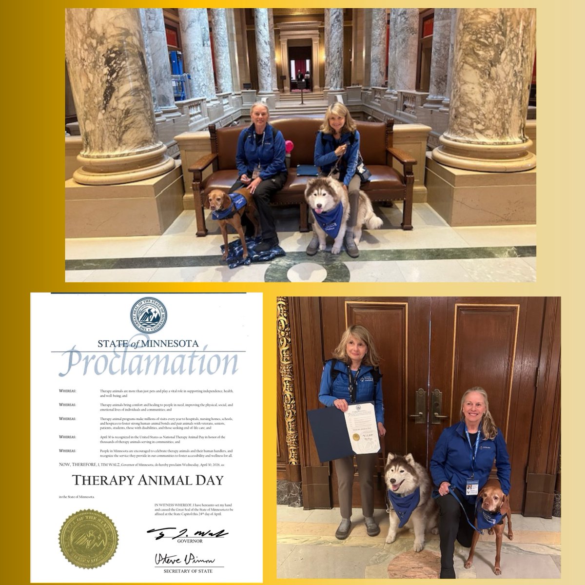 nstamn's tweet photo. Thank you to our amazing state of #Minnesota for recognizing April 30 as #NationalTherapyAnimalDay! https://t.co/A5vkkEPR3s