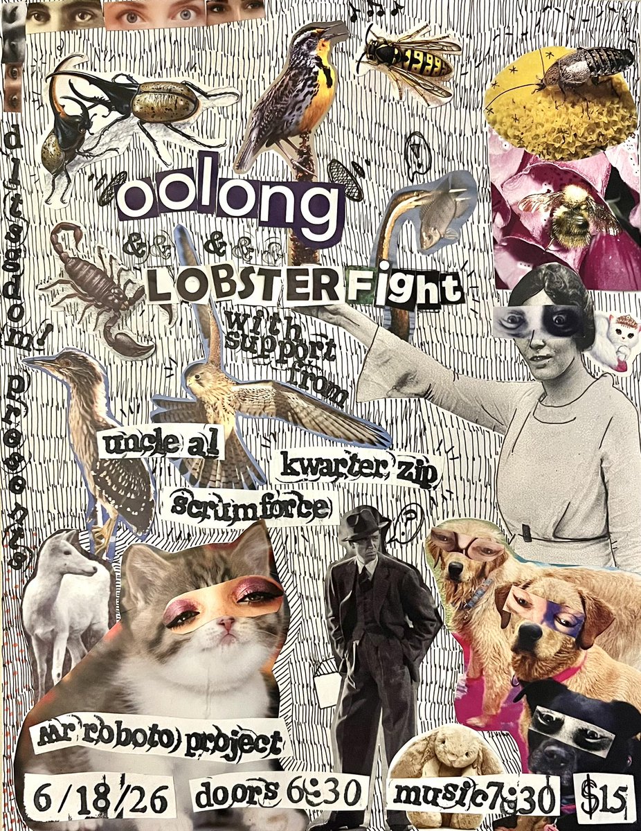 DLTSGDOM! Collective tweet media