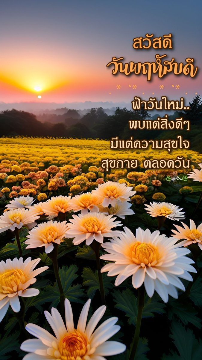 Dng tweet media