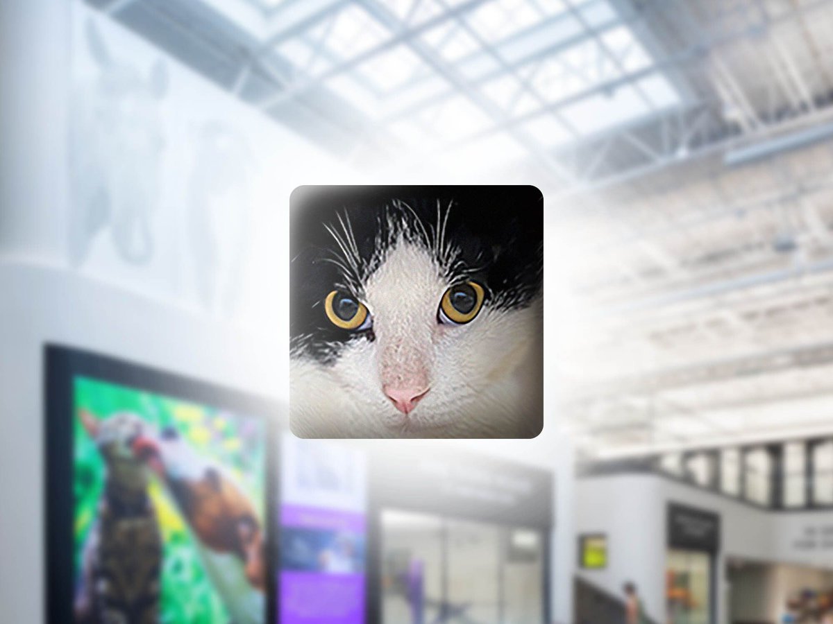 Nebraska Humane Society tweet media