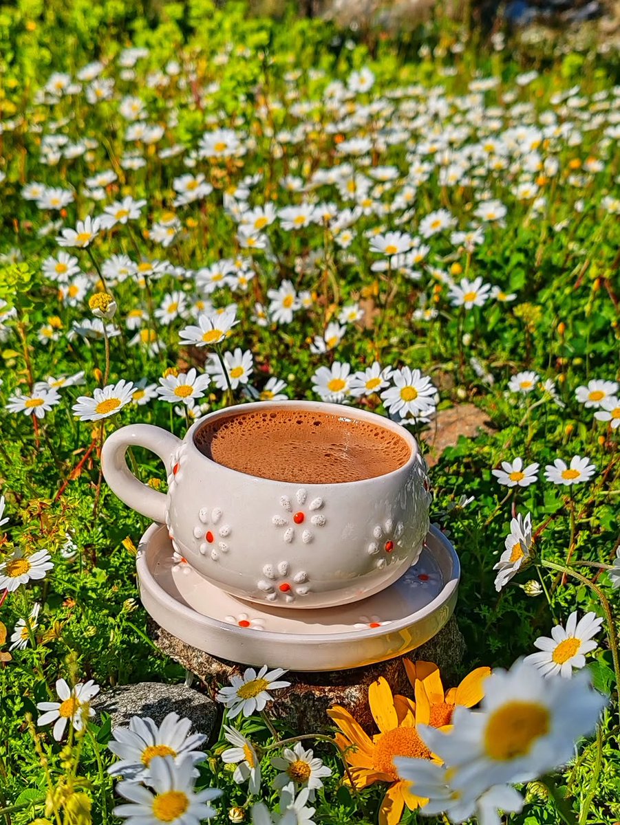 ☕︎ ❥ 𝑵𖣠o̶r̲̅ ♪♩ ❥❁ ☕︎ tweet media