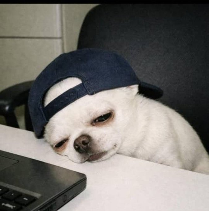 U O X B U K E D D E. tweet media