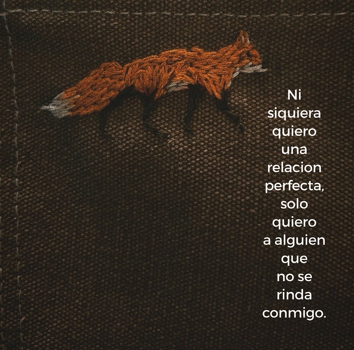nación tweet media